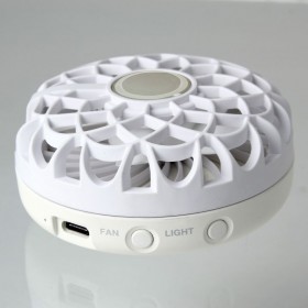 white2 white2